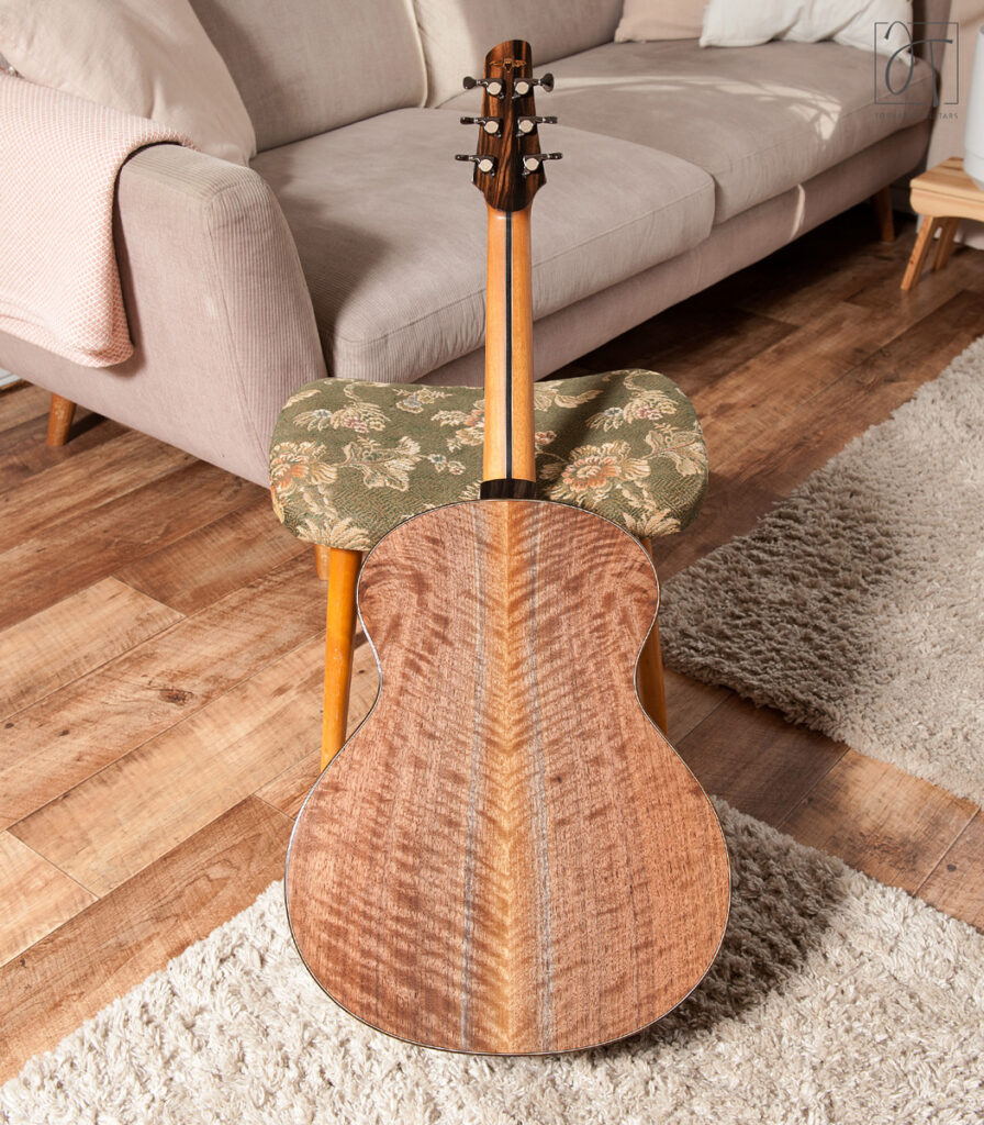 Black Walnut back and sides JT-SJ